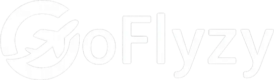 GoFlyzy