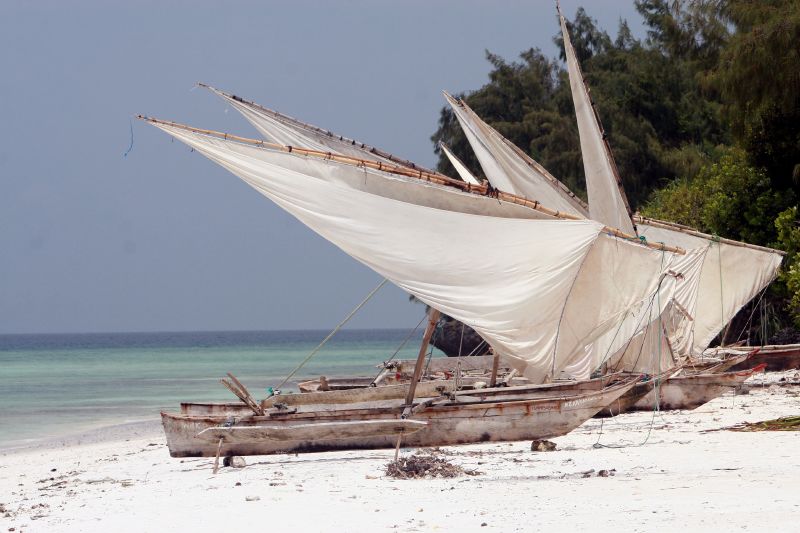 Arcipelago di Zanzibar