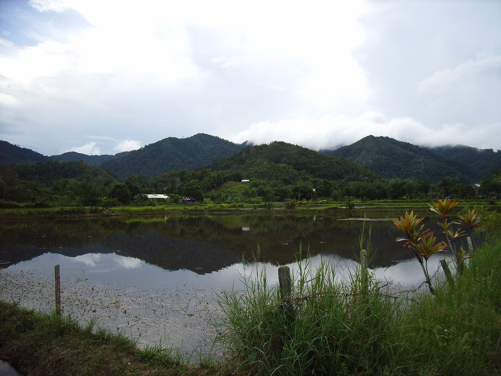 Bario (Malaisie)