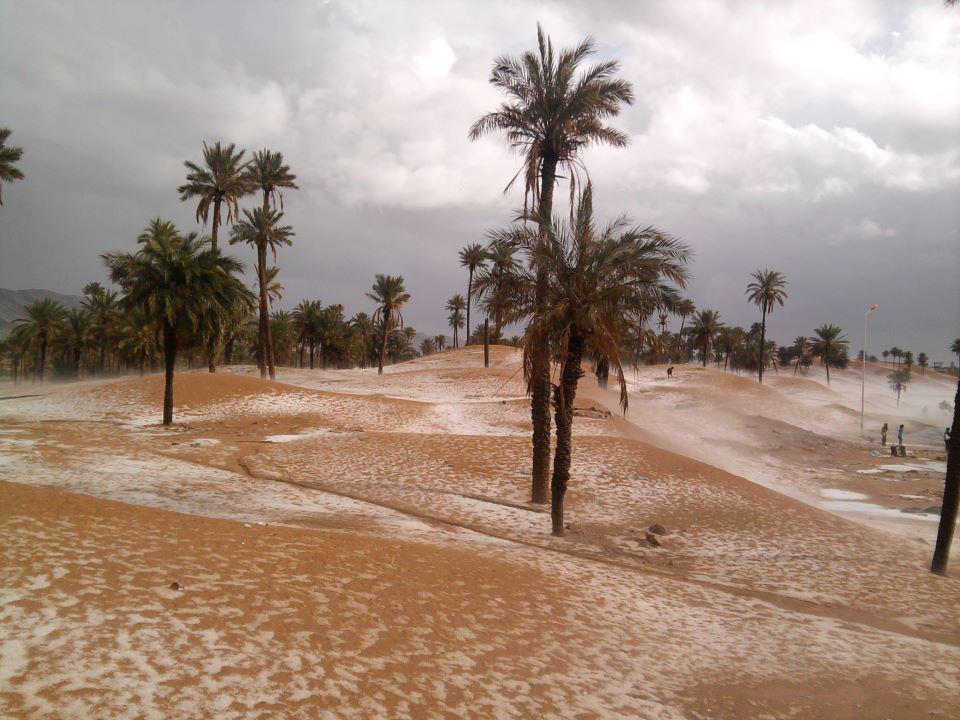 Bechar