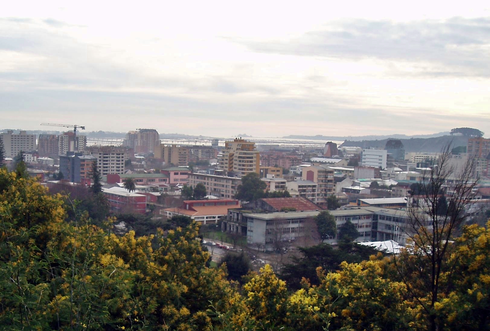 Concepción