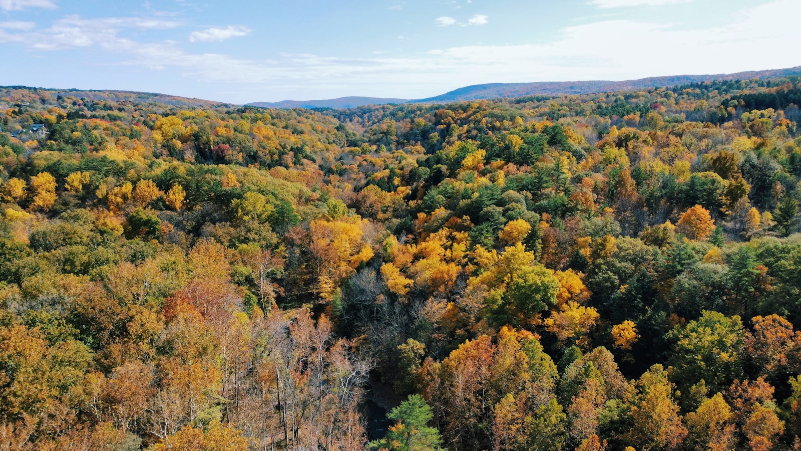 Ithaca