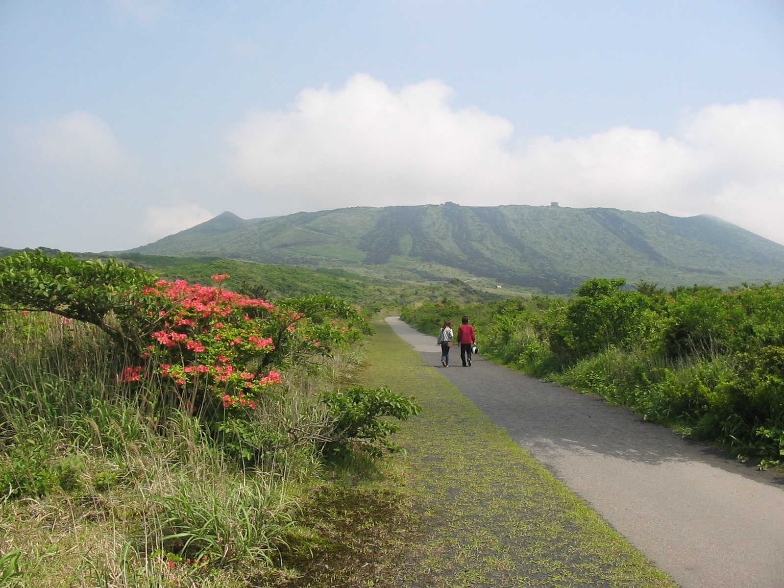 Izu Oshima