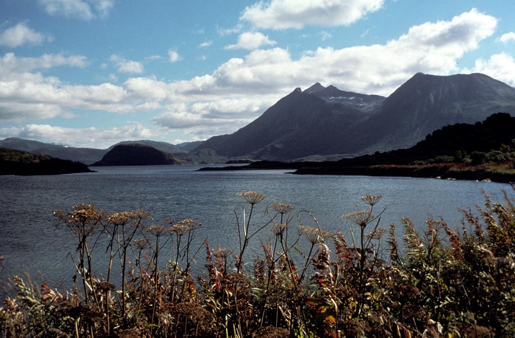 Kodiak