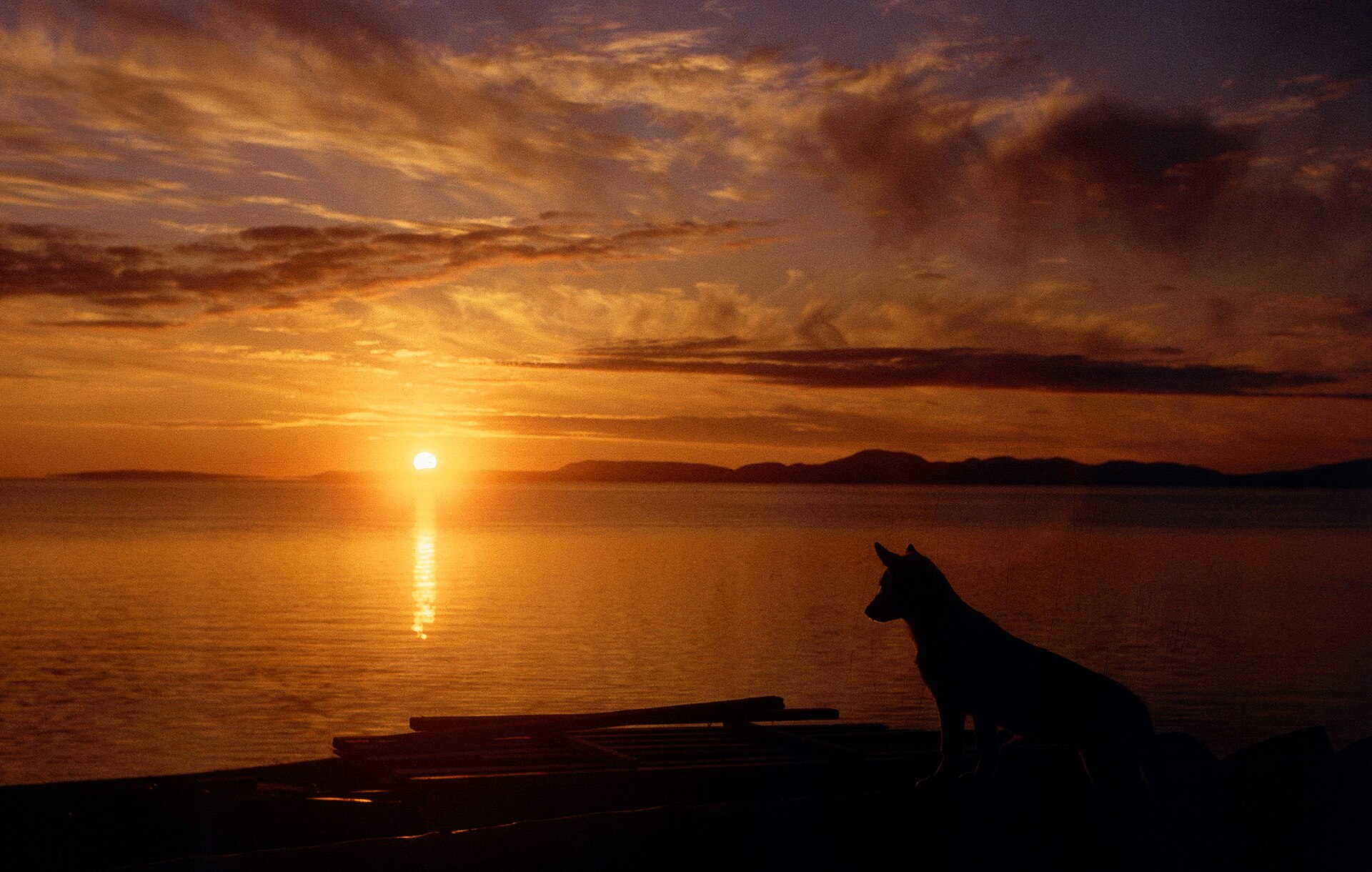 Kotzebue