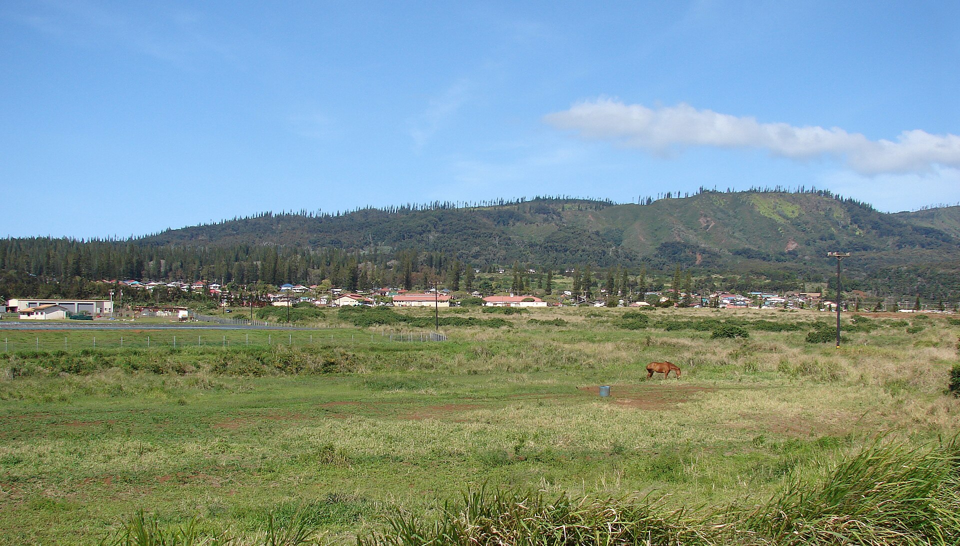Lanai City