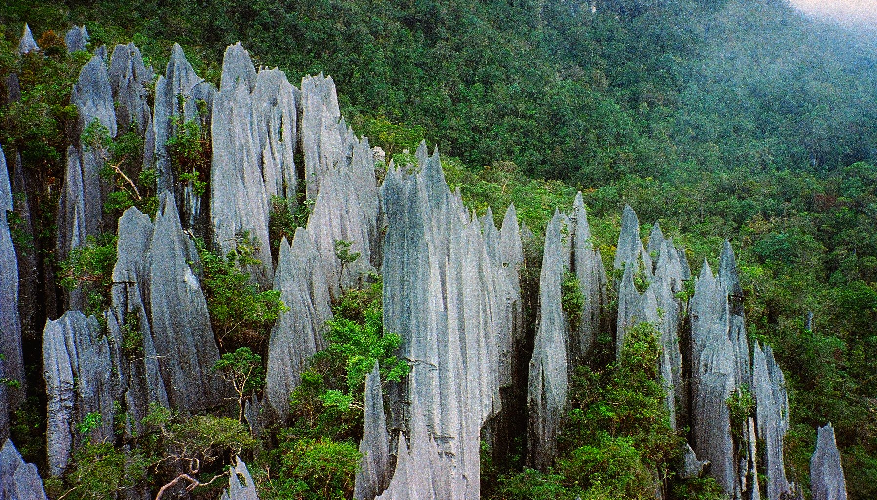 Mulu