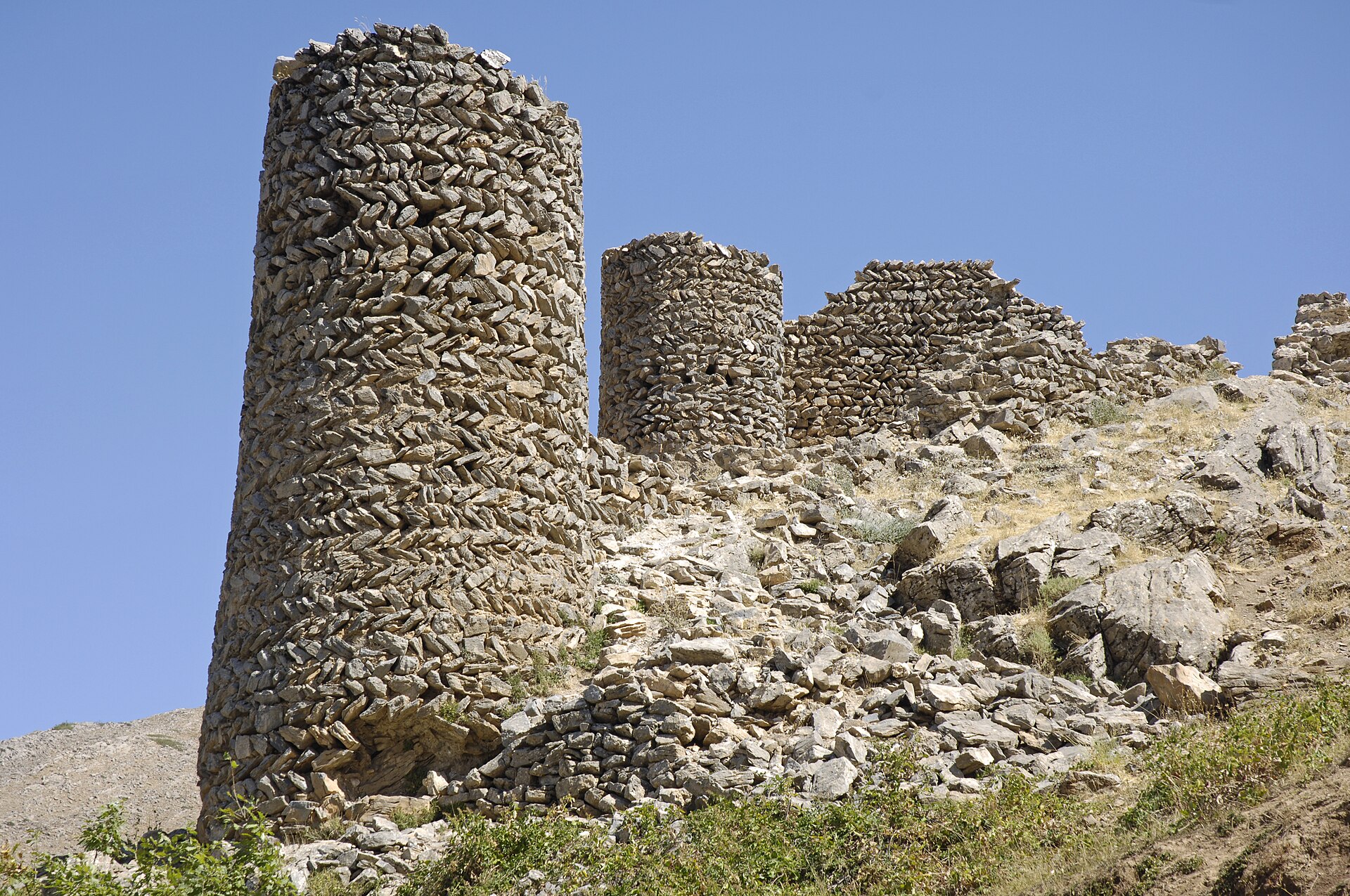 Muş
