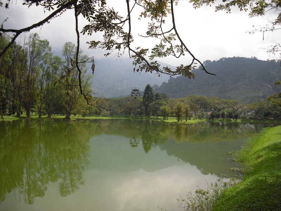 Perak