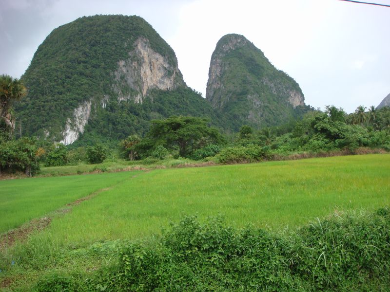 Perlis