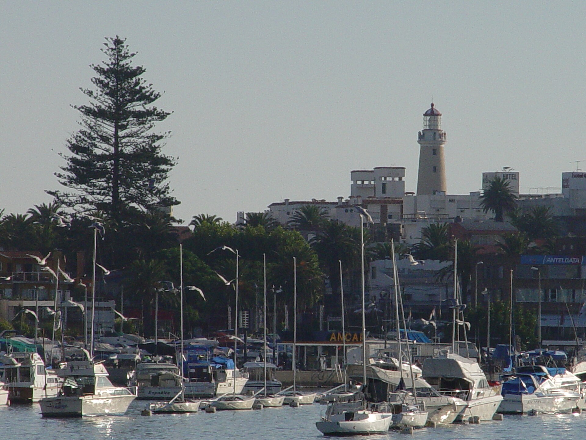 Punta del Este