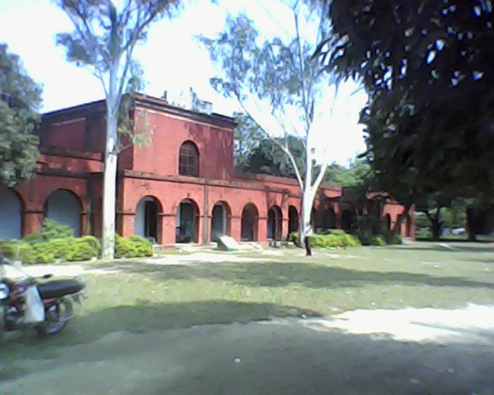 Saiyadpur