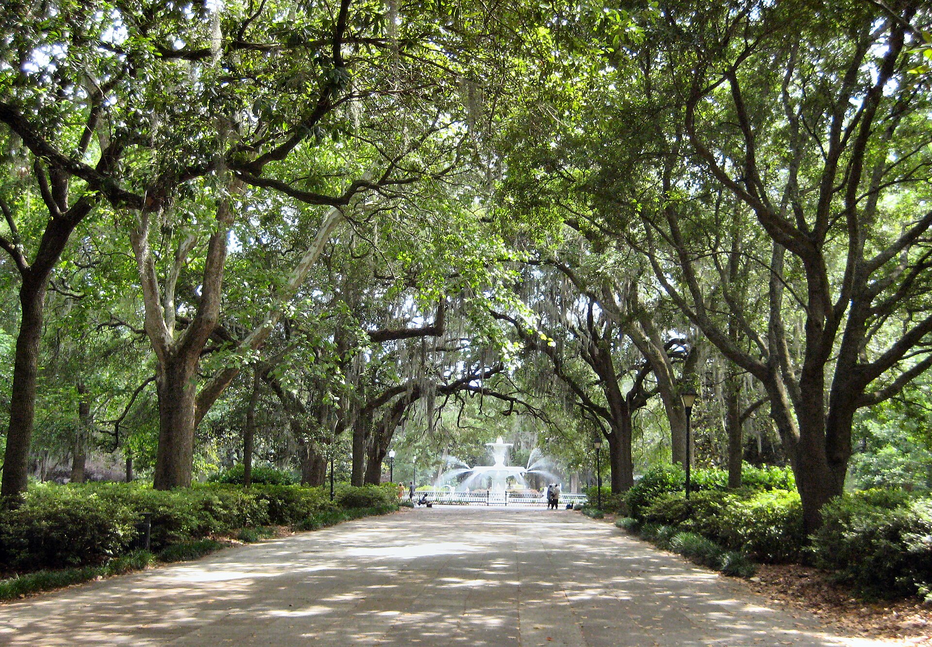 Savannah