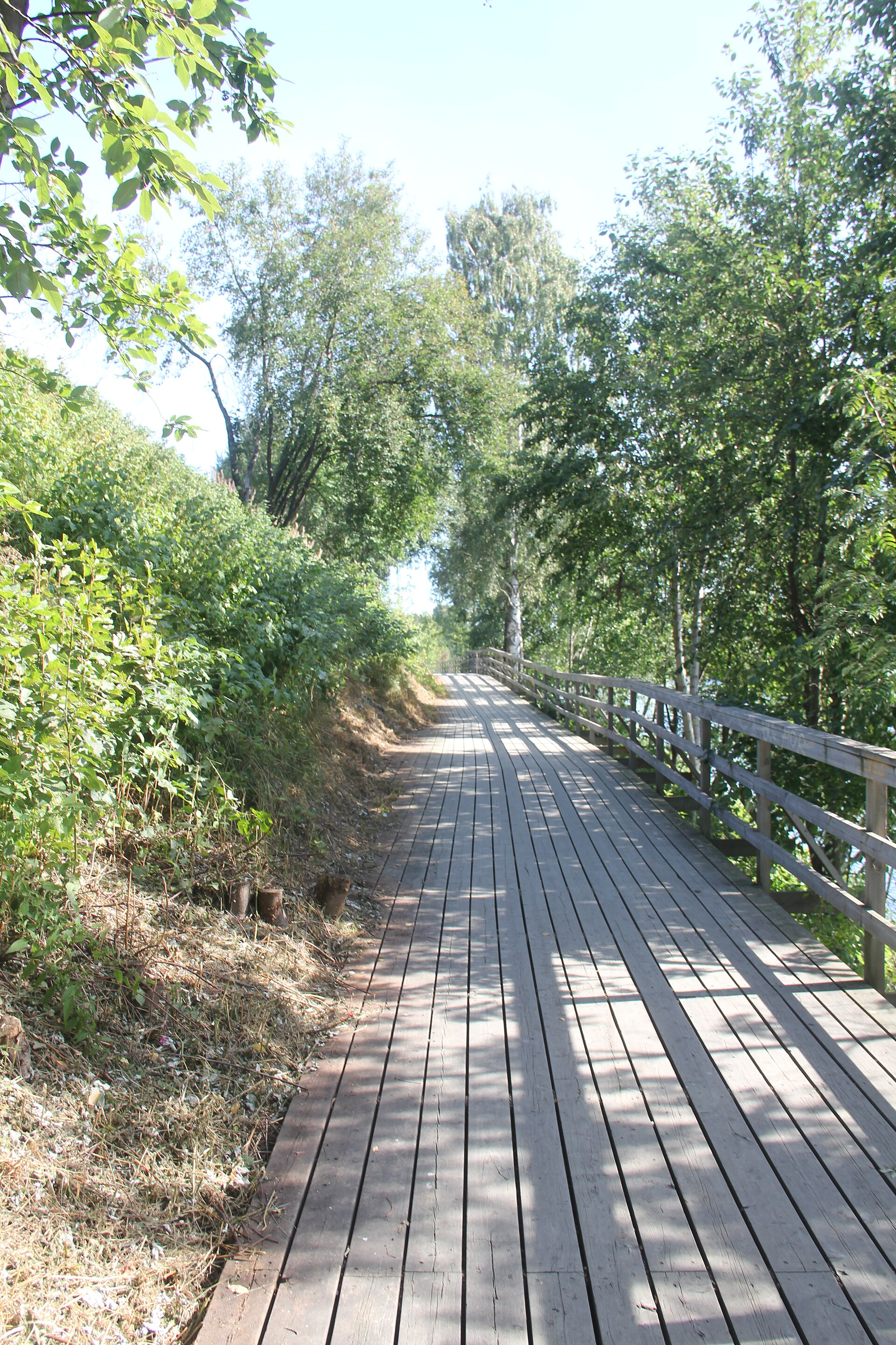 Skellefteå