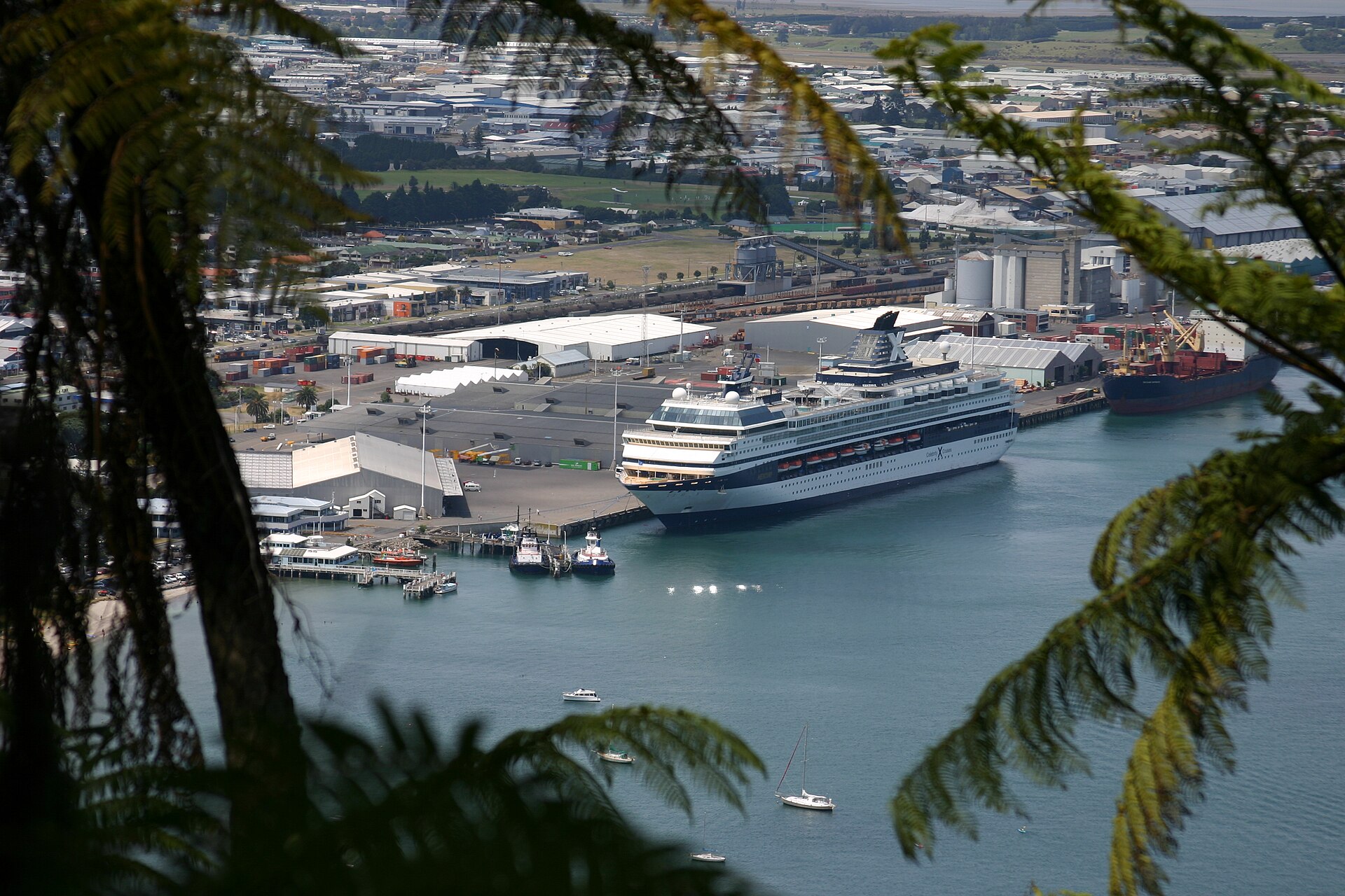 Tauranga