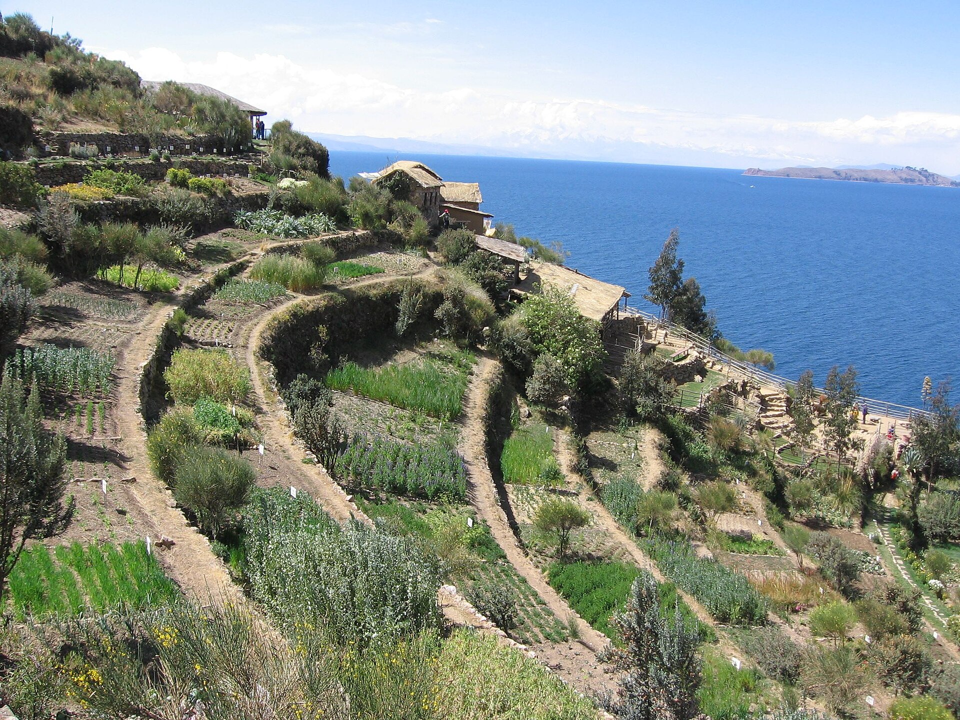 Titicaca