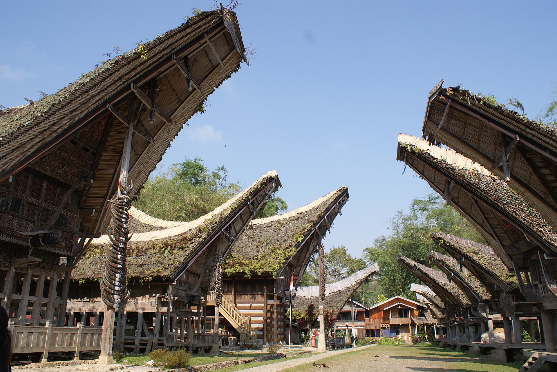 Toraja