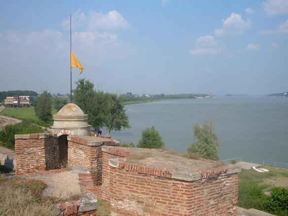 Vidin