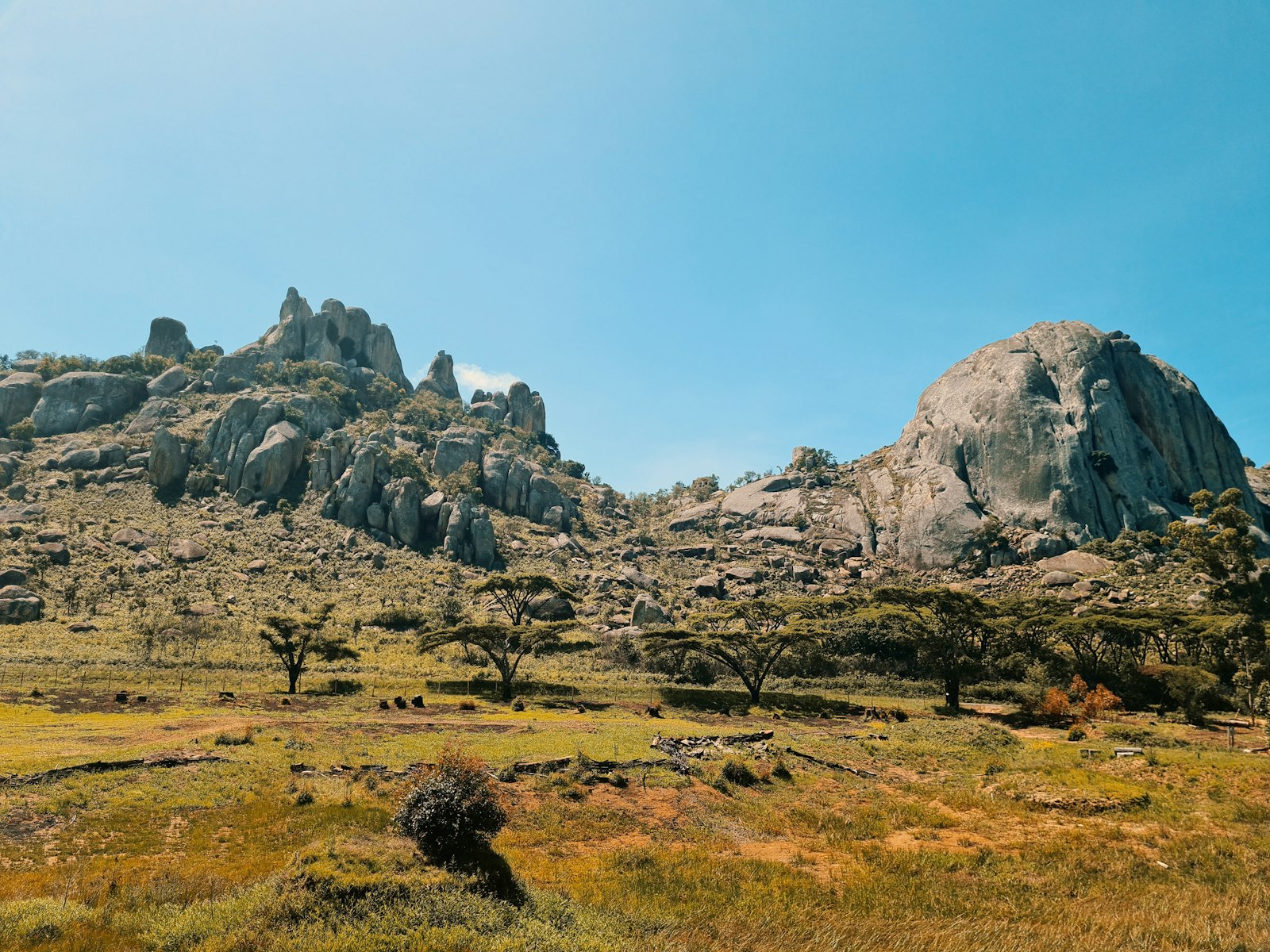 Zimbabwe